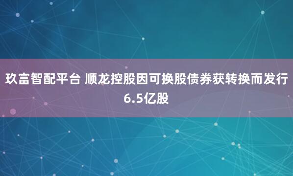 玖富智配平台 顺龙控股因可换股债券获转换而发行6.5亿股